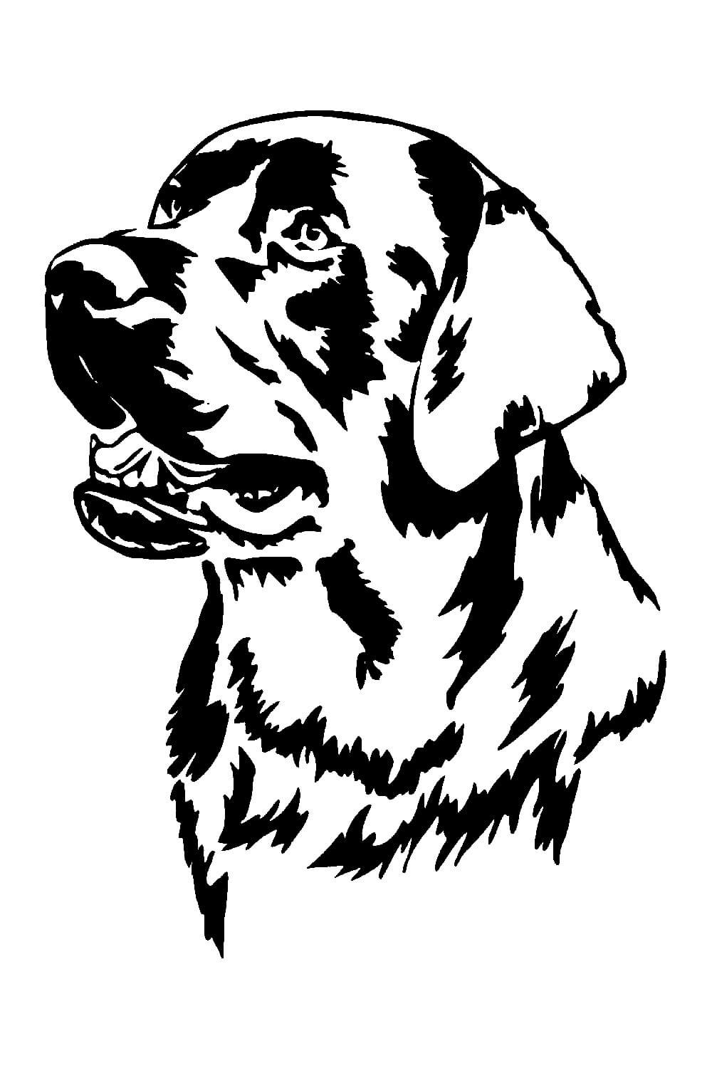 Трафареты для выжигания по дер