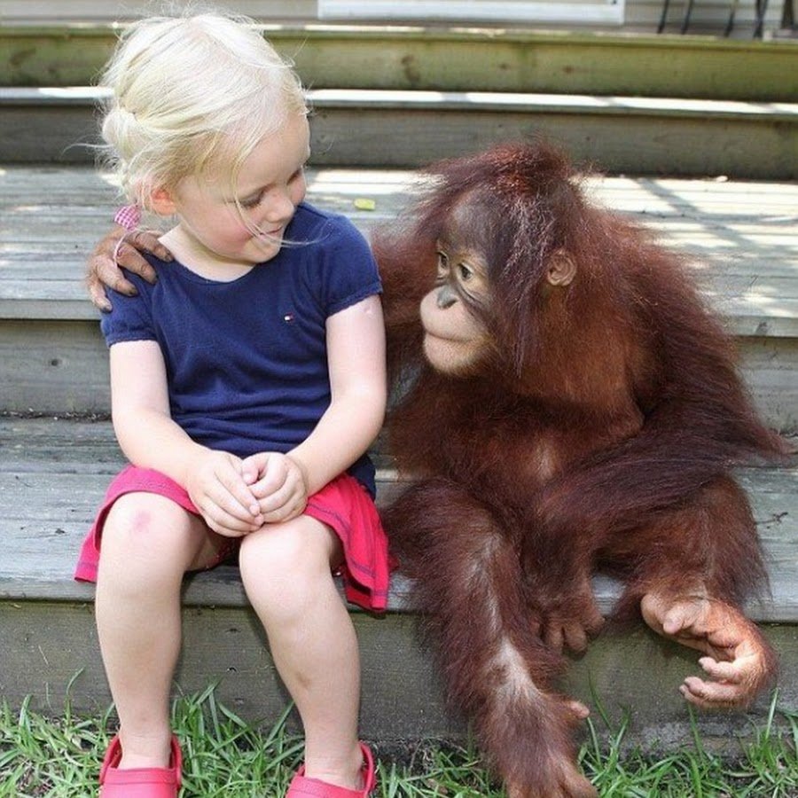 Обезьянка с детьми