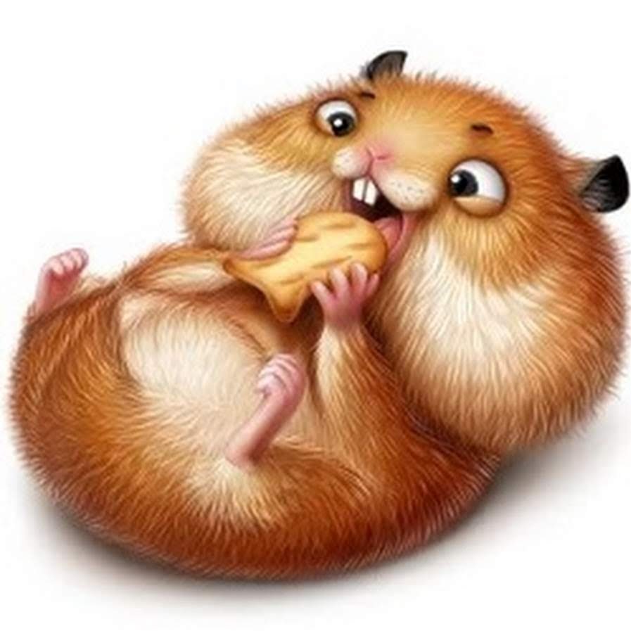 Хомяк Сеня Стикеры