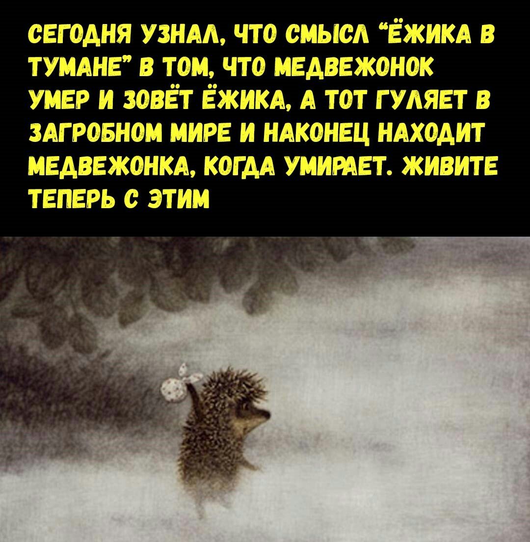 Ежик в тумане цитаты