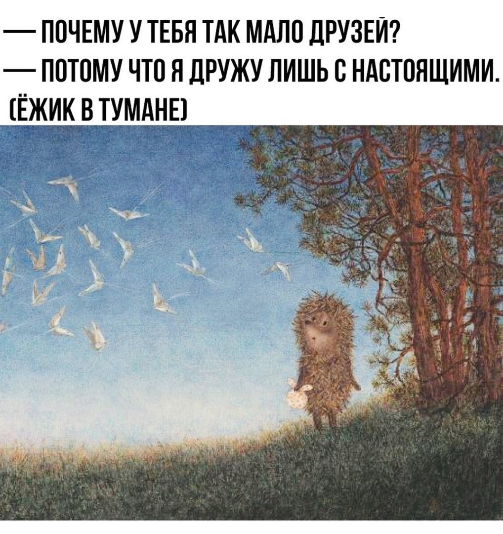 Ежик в тумане Автор