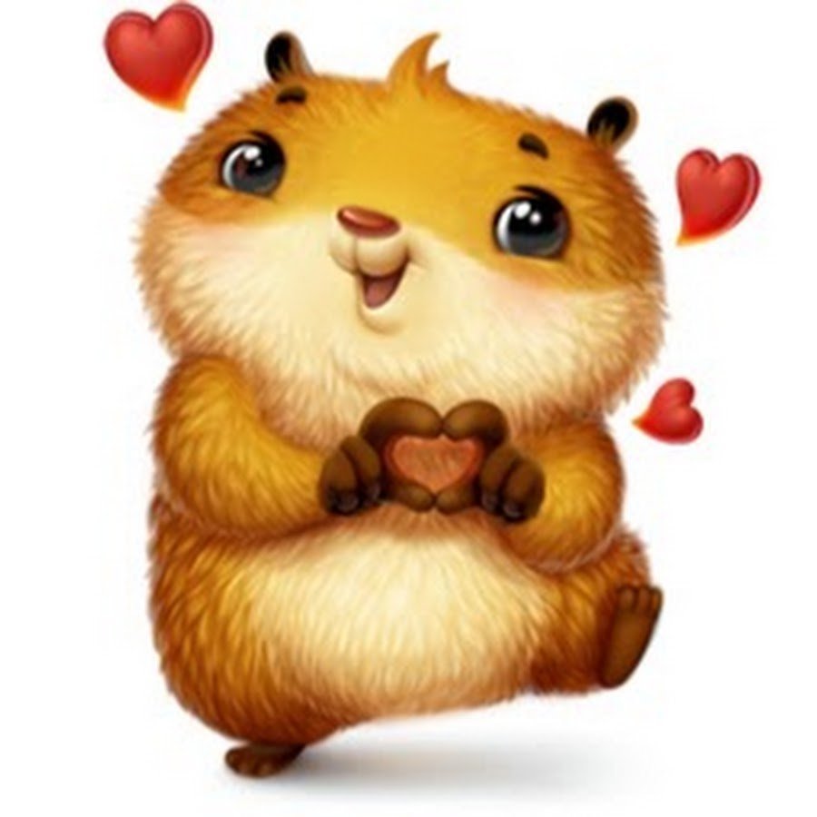 Сирийский хомяк Тедди