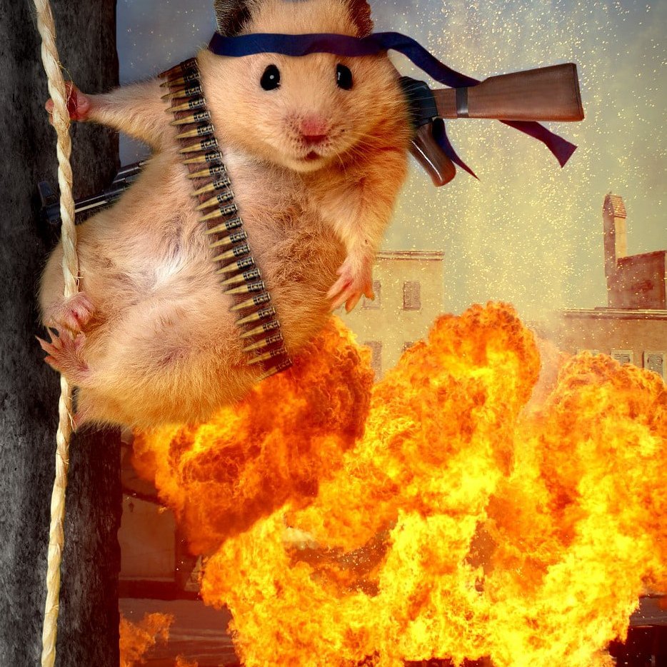 Зоопортреты Yago partal