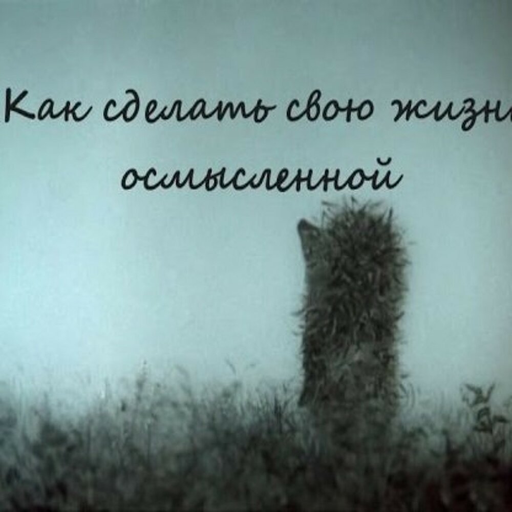 Доброе утро туман