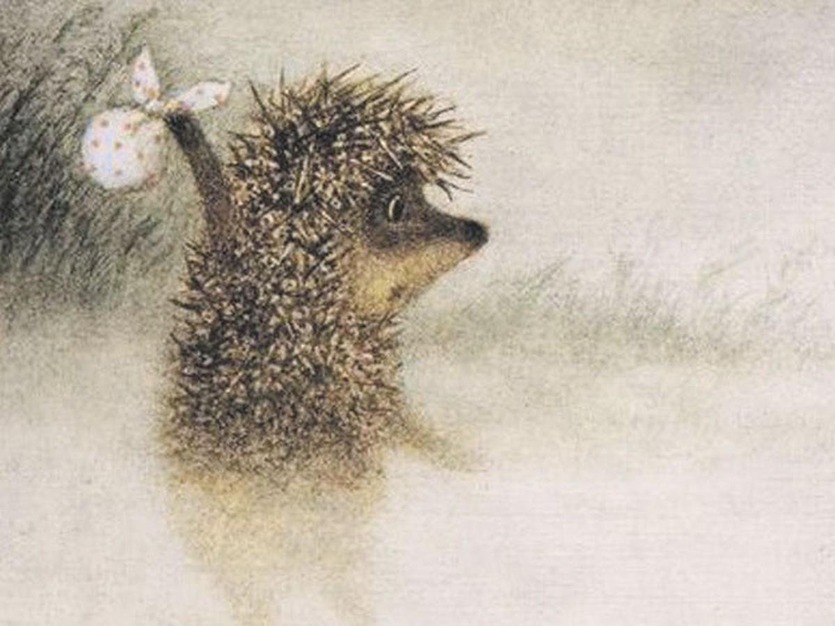 Ёжик в тумане фото