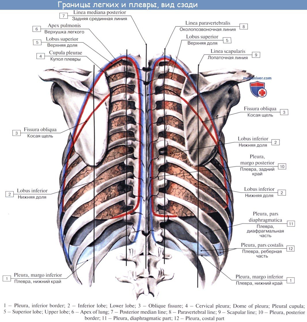 Красивые надписи для срисовки