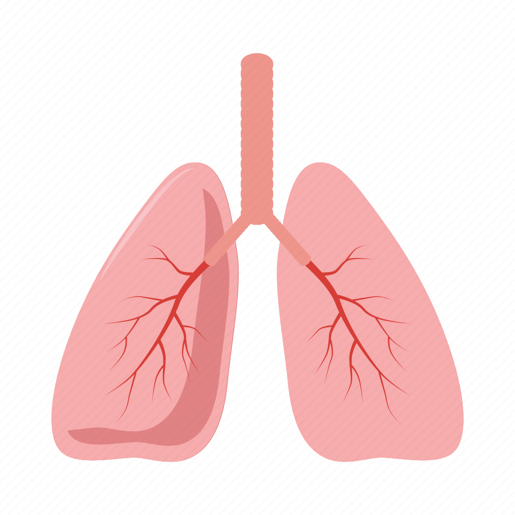 Здоровые легкие мультяшка