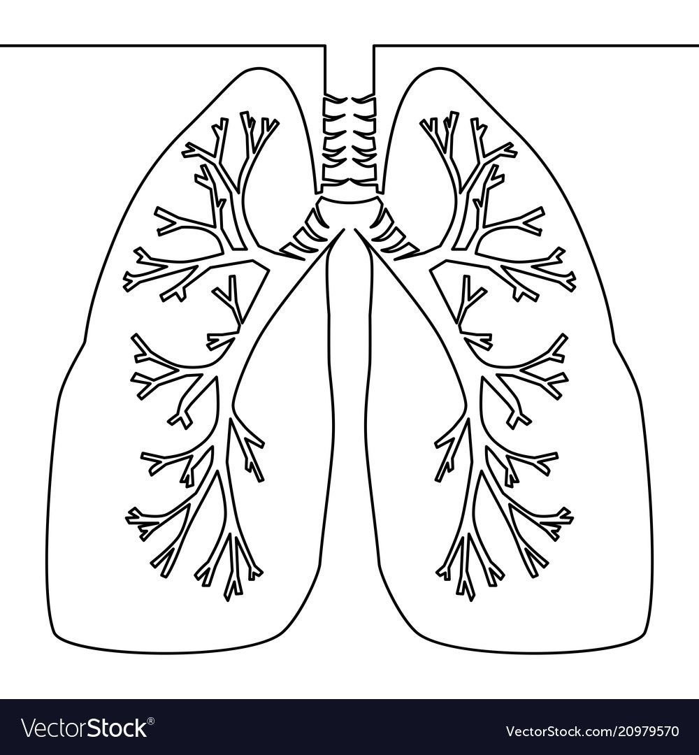 Рисунки для срисовки карандашом надписи