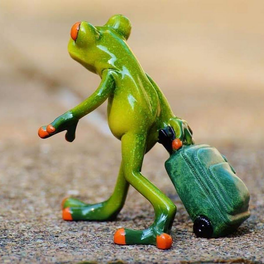 Лягушка путешественница с чемоданом