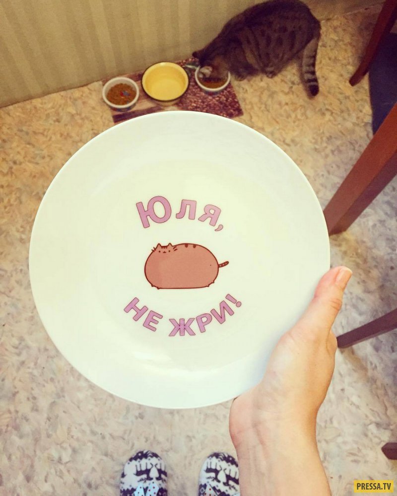 Игрушка енот хватит жрать