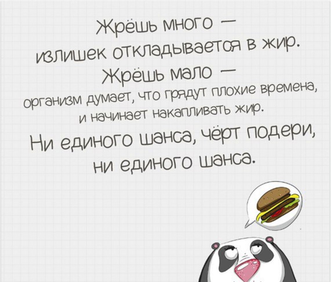 Жрешь картинка смешные