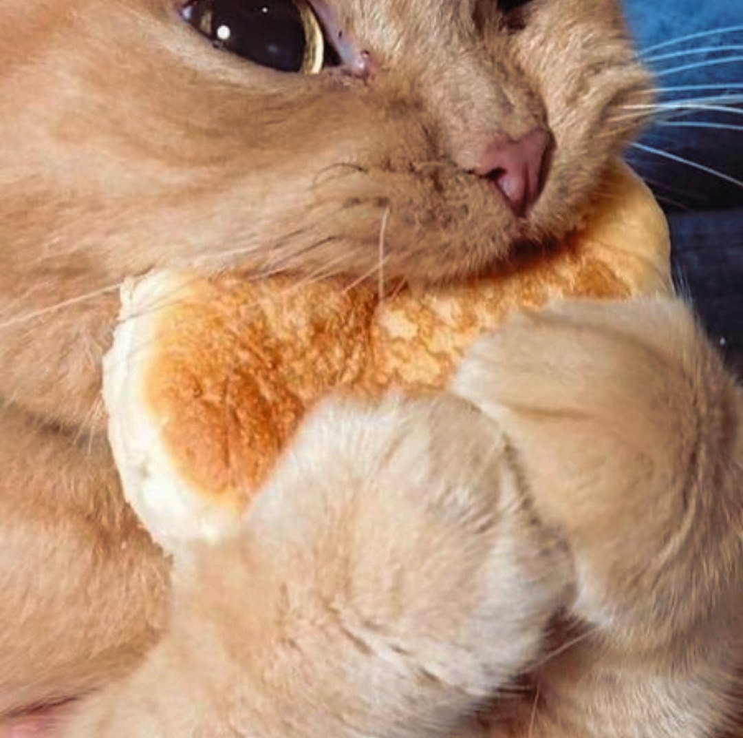 Обои с забавными надписями