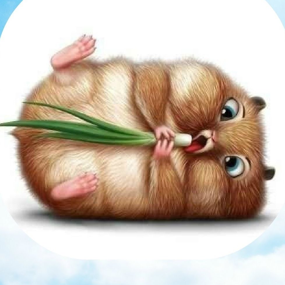 Сижу на диете