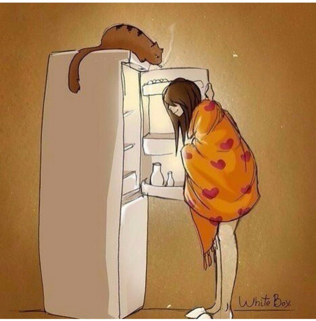 Как перестать жрать на ночь могу рассказать