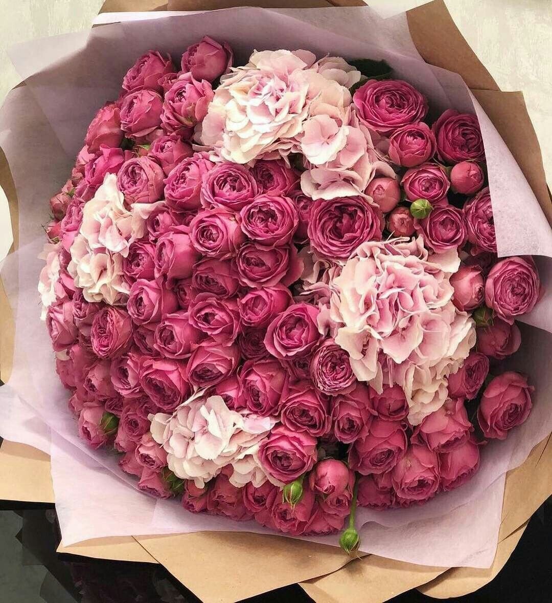 Цветы красивые подарочные