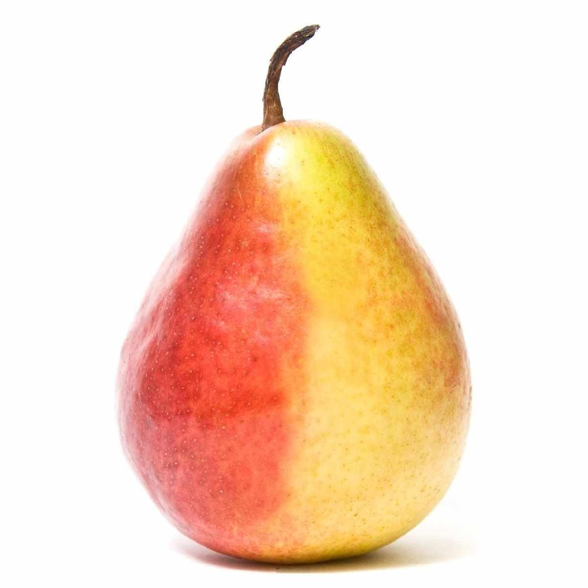 Груша Санта Мария