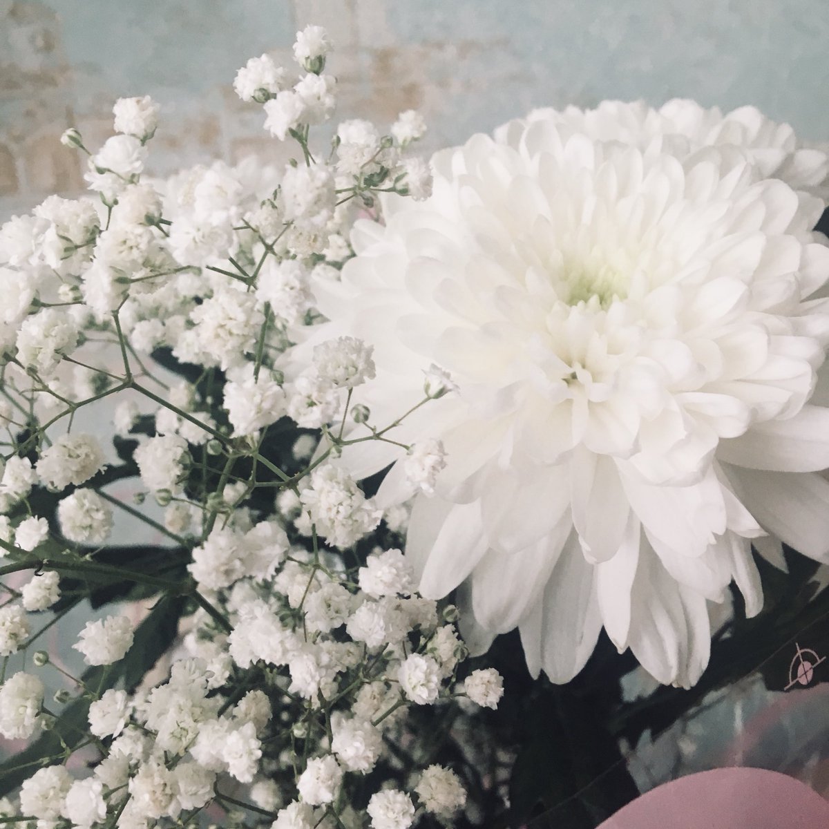 Хризантемы белые Эксибишн