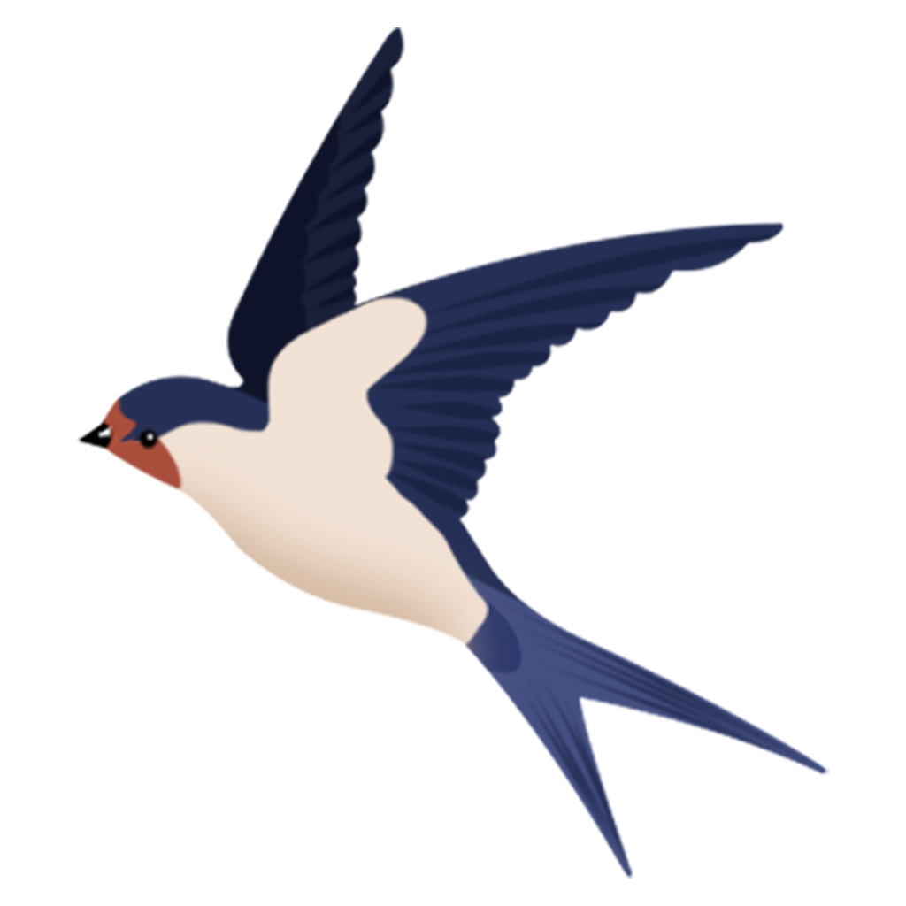 Перелетные птицы Ласточка для детей