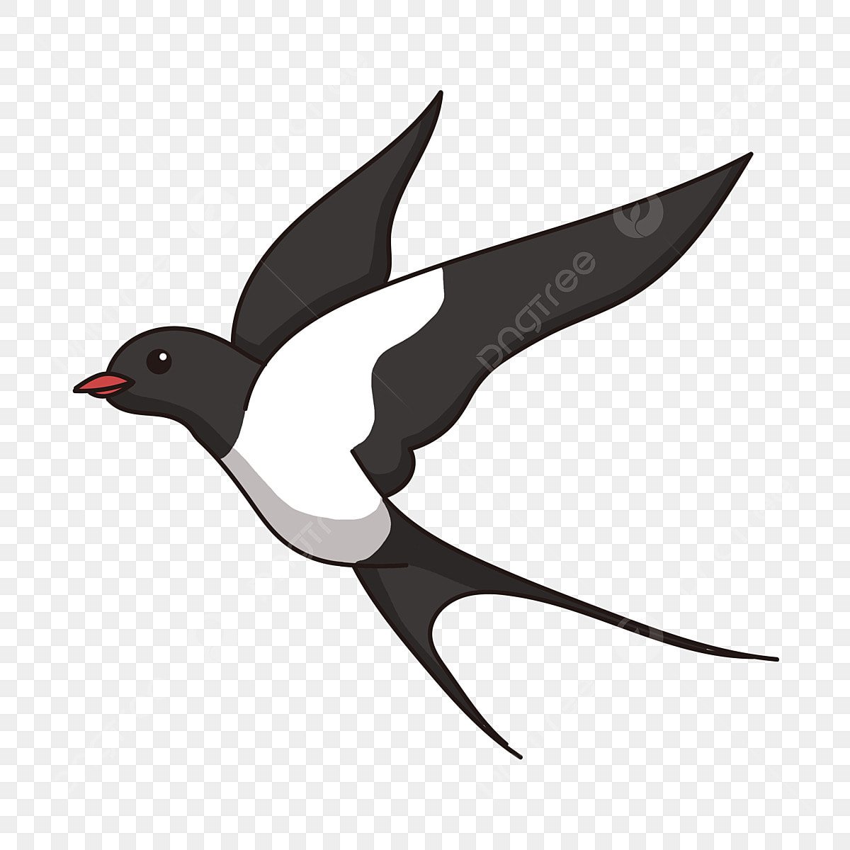 Ласточка карандашная