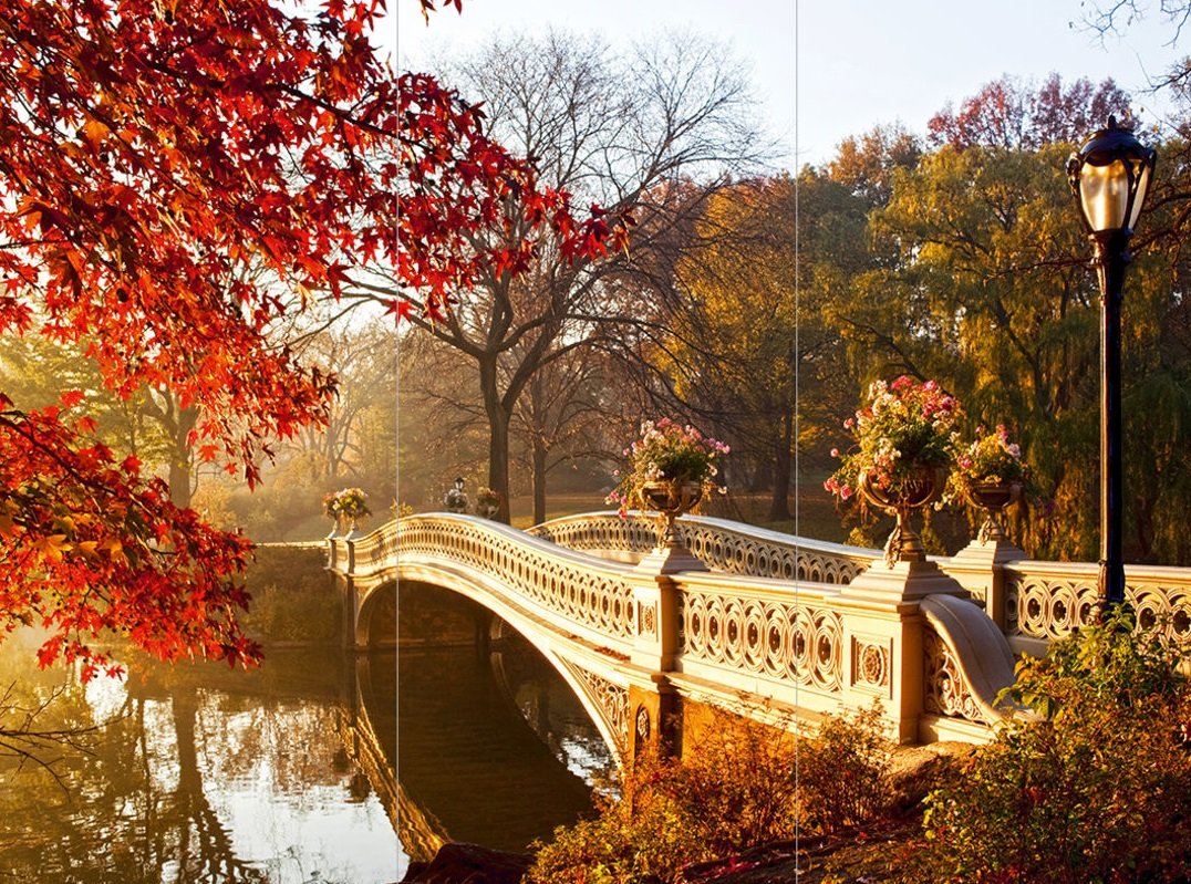 Красивая осень