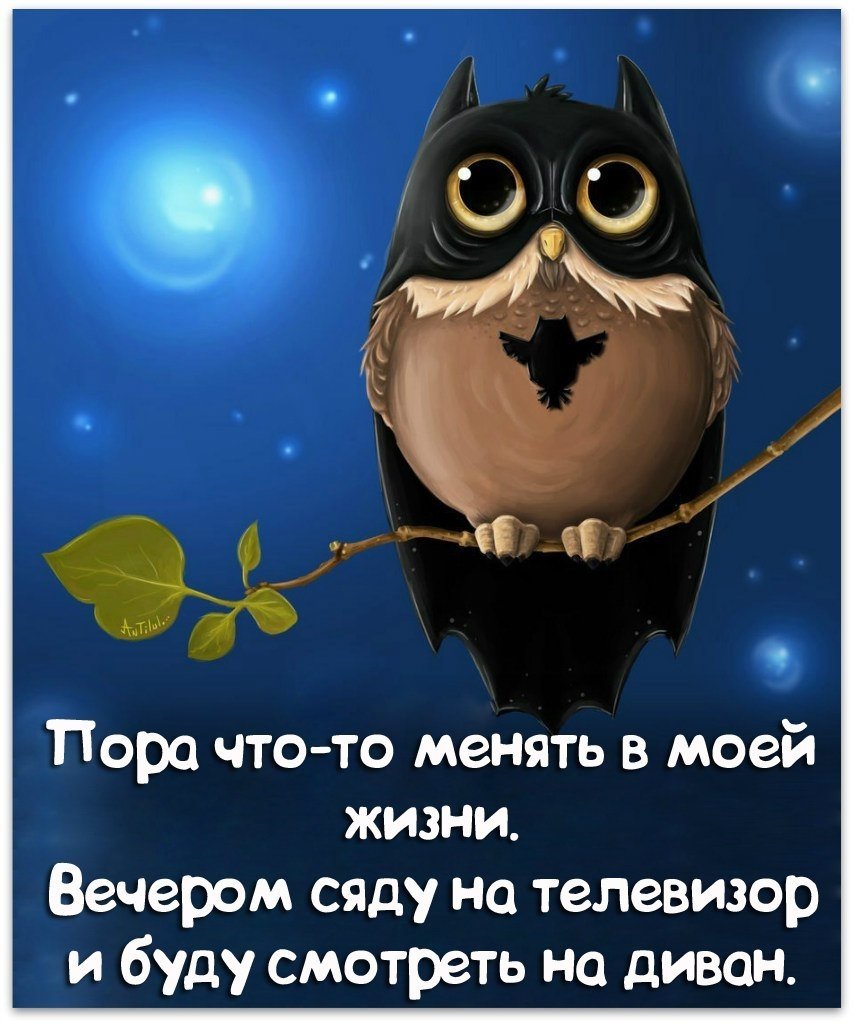 Спокойной ночи козлик