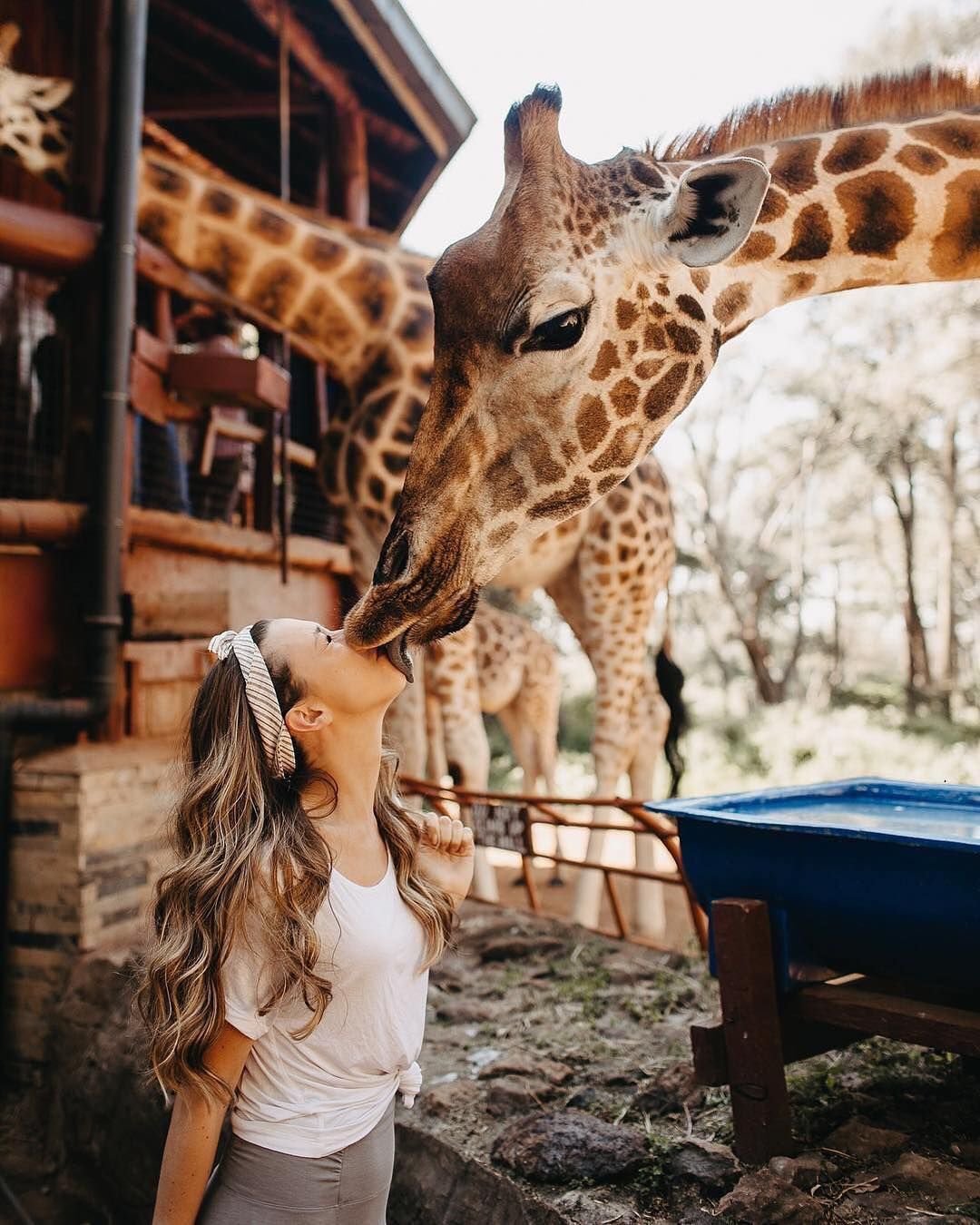 Девочка и Жираф