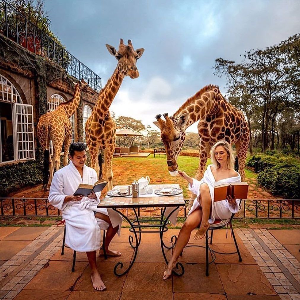Кения Африка отель Giraffe Manor