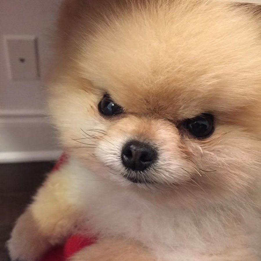 Любовь сильнее обиды и злости