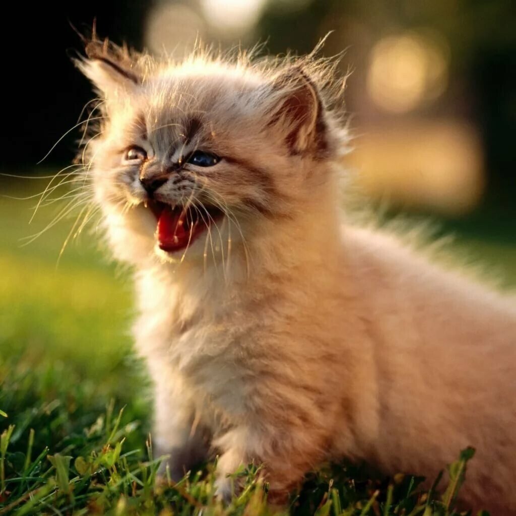 Позитивные высказывания