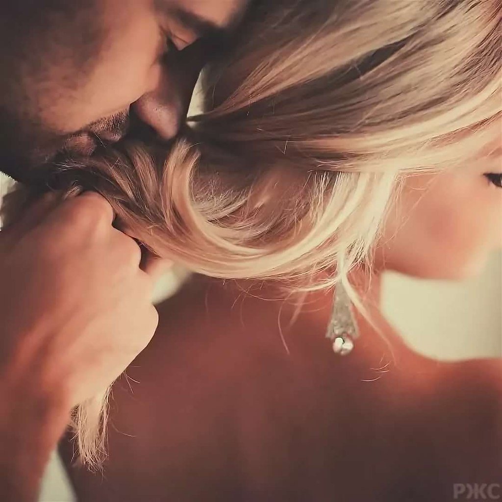 Померанский шпиц сердитый