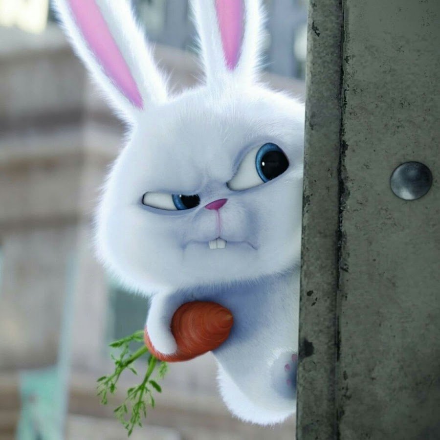 Девушка вредина