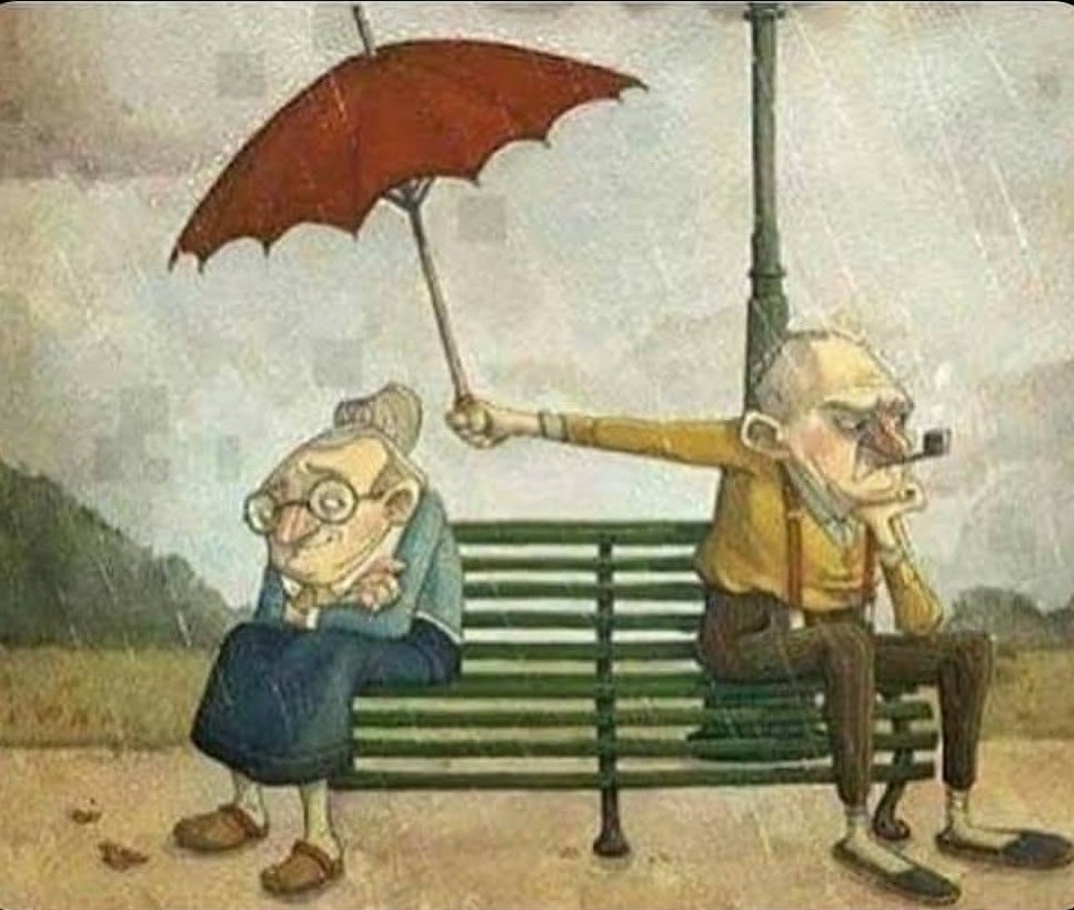 Померанский шпиц злится