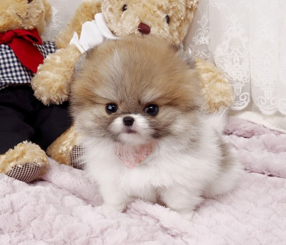 Мемы с людьми