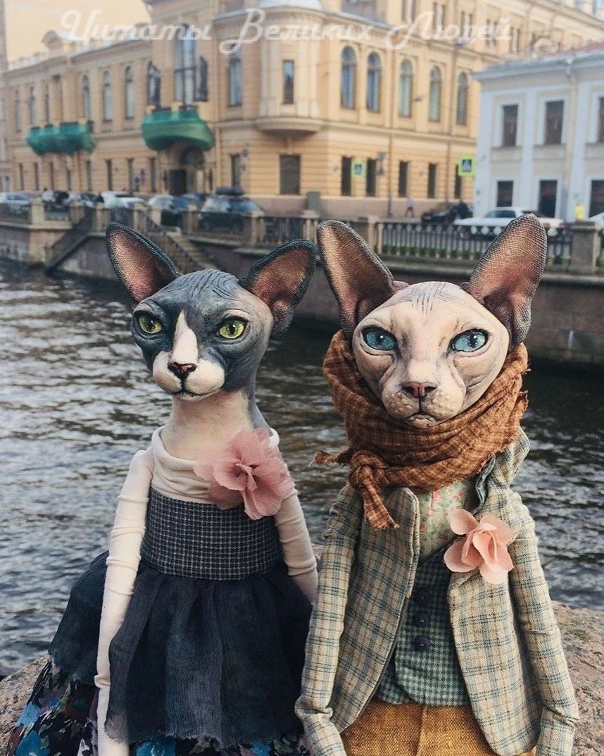 Коты Санкт-Петербурга