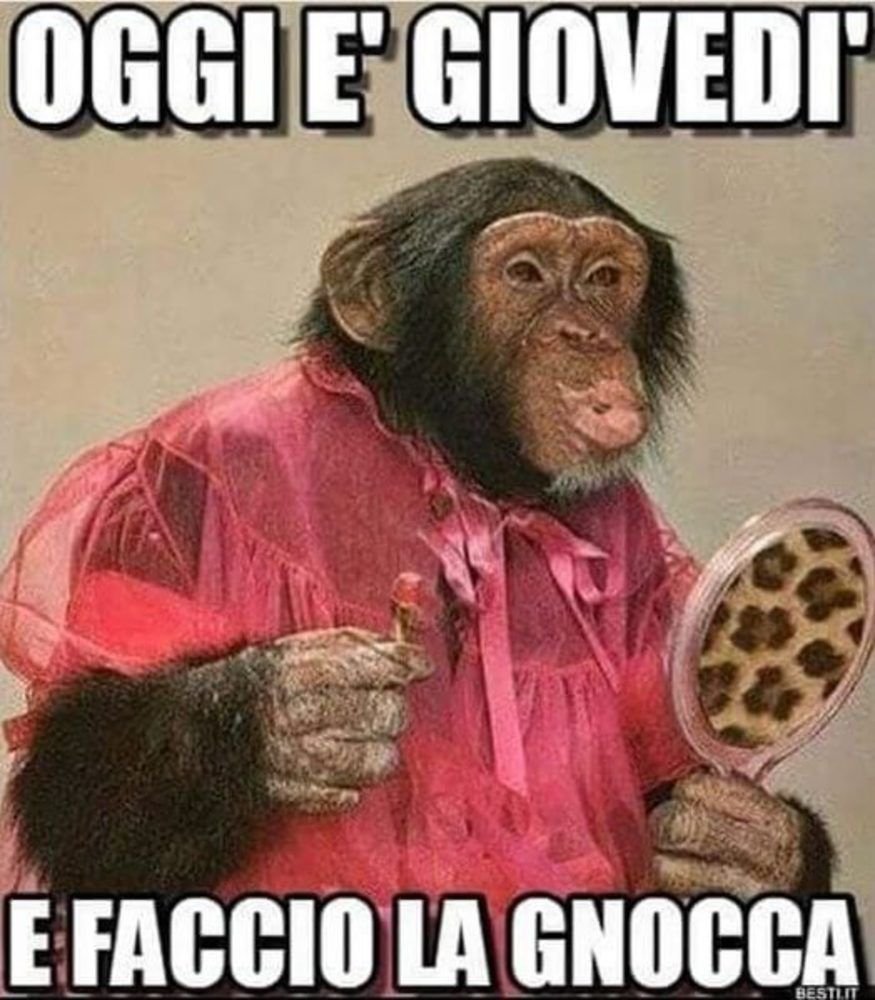 Обезьяна в платье