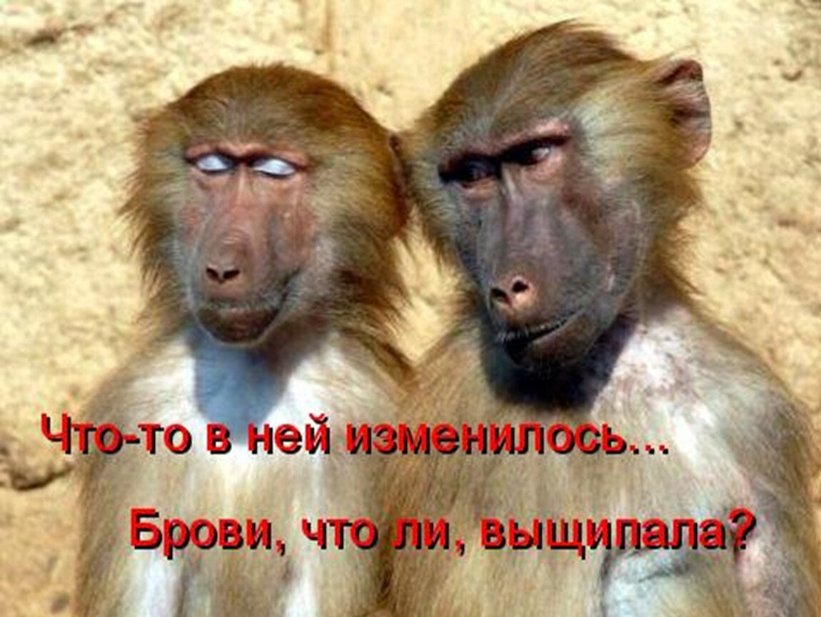 Ты привлекательна я чертовски привлекателен юмор