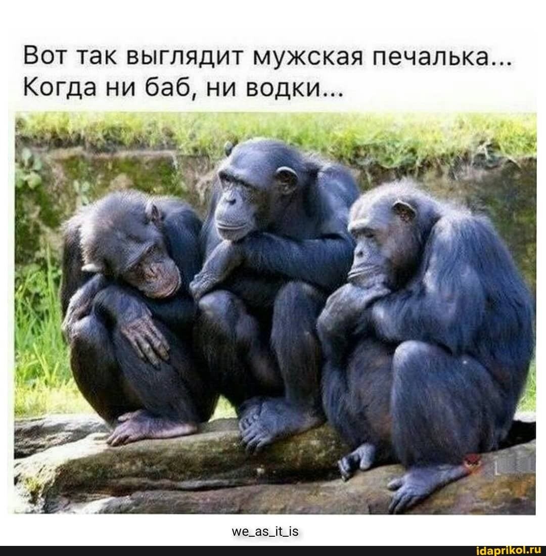 Обезьянка с языком