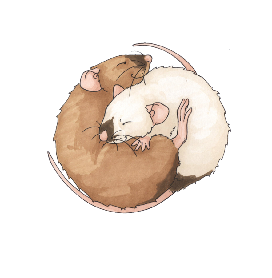 Крыски обнимаются арт