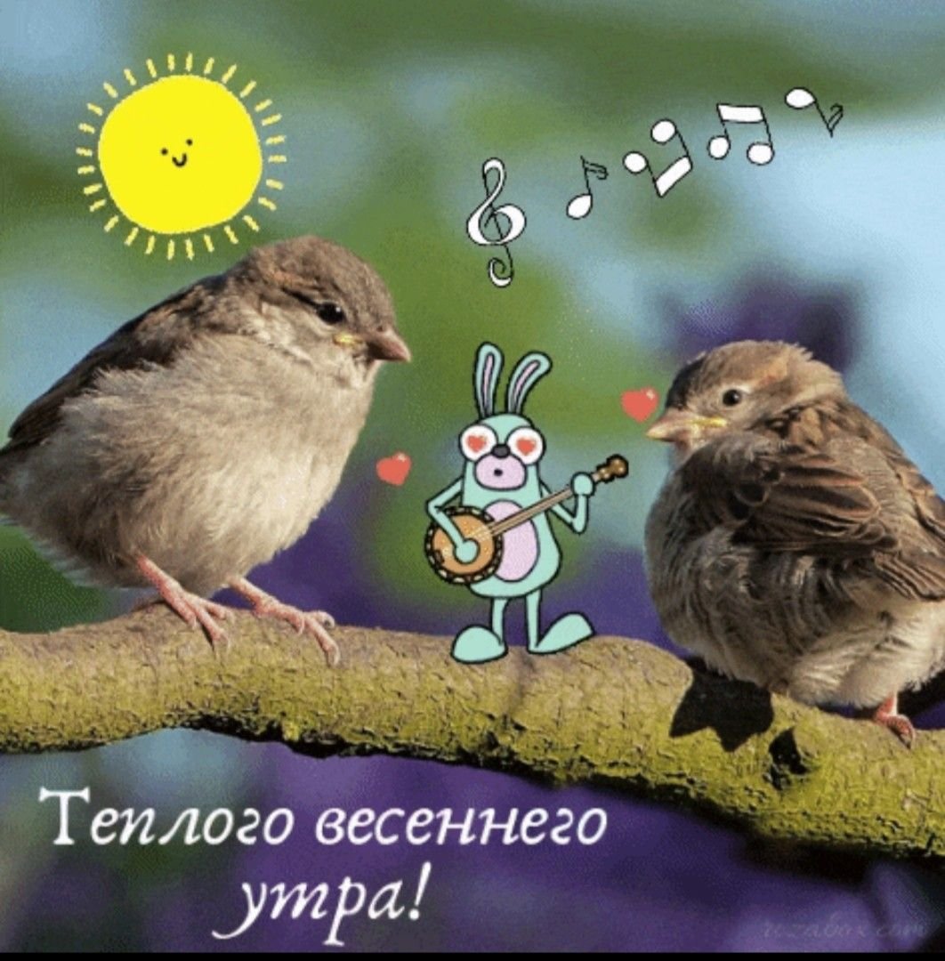 Доброе утро берите себя