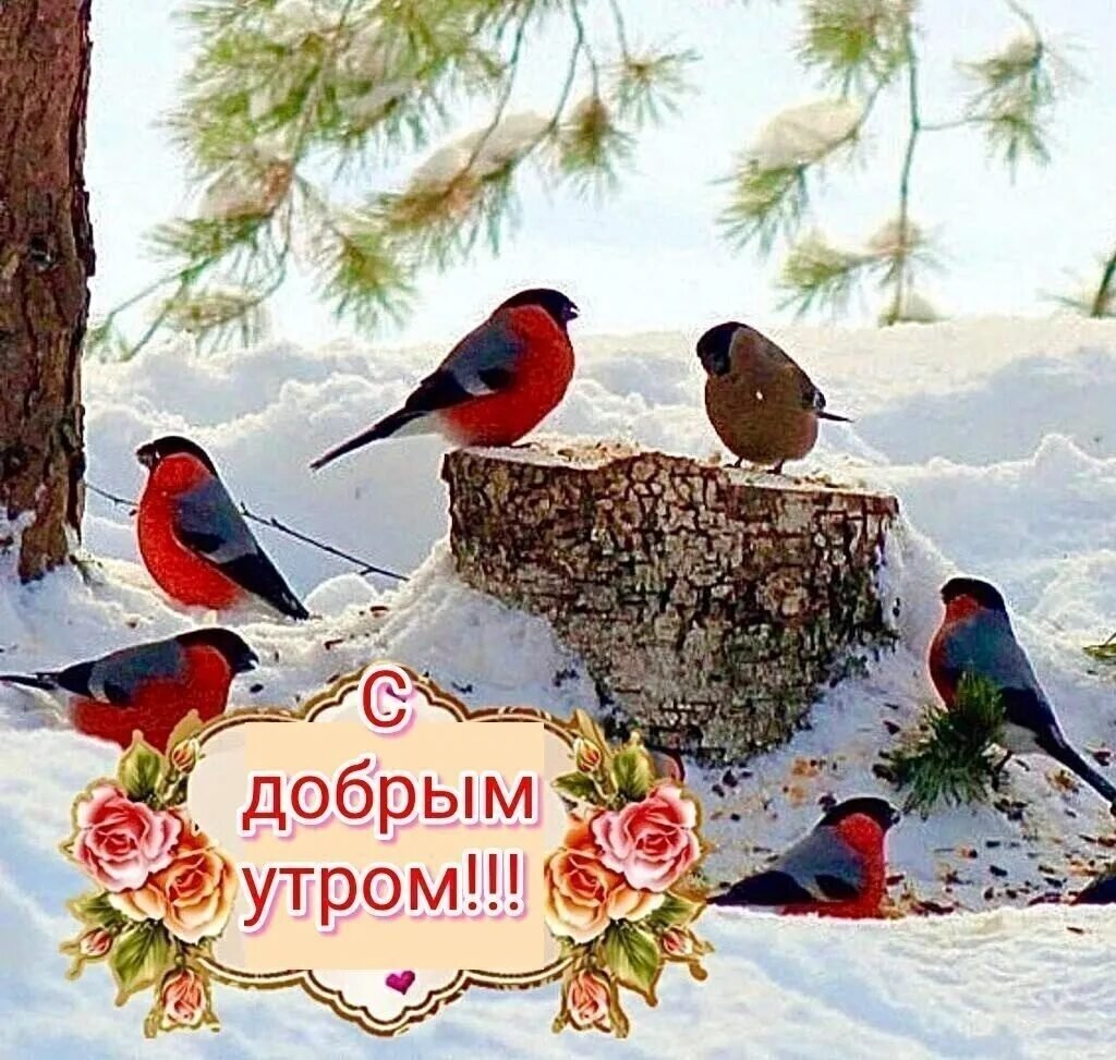 Доброе утро берегите себя