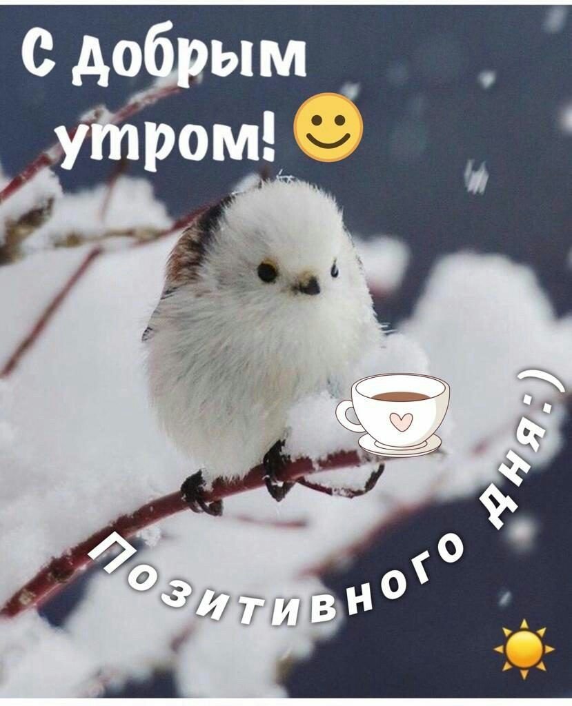 Кофе и цветы