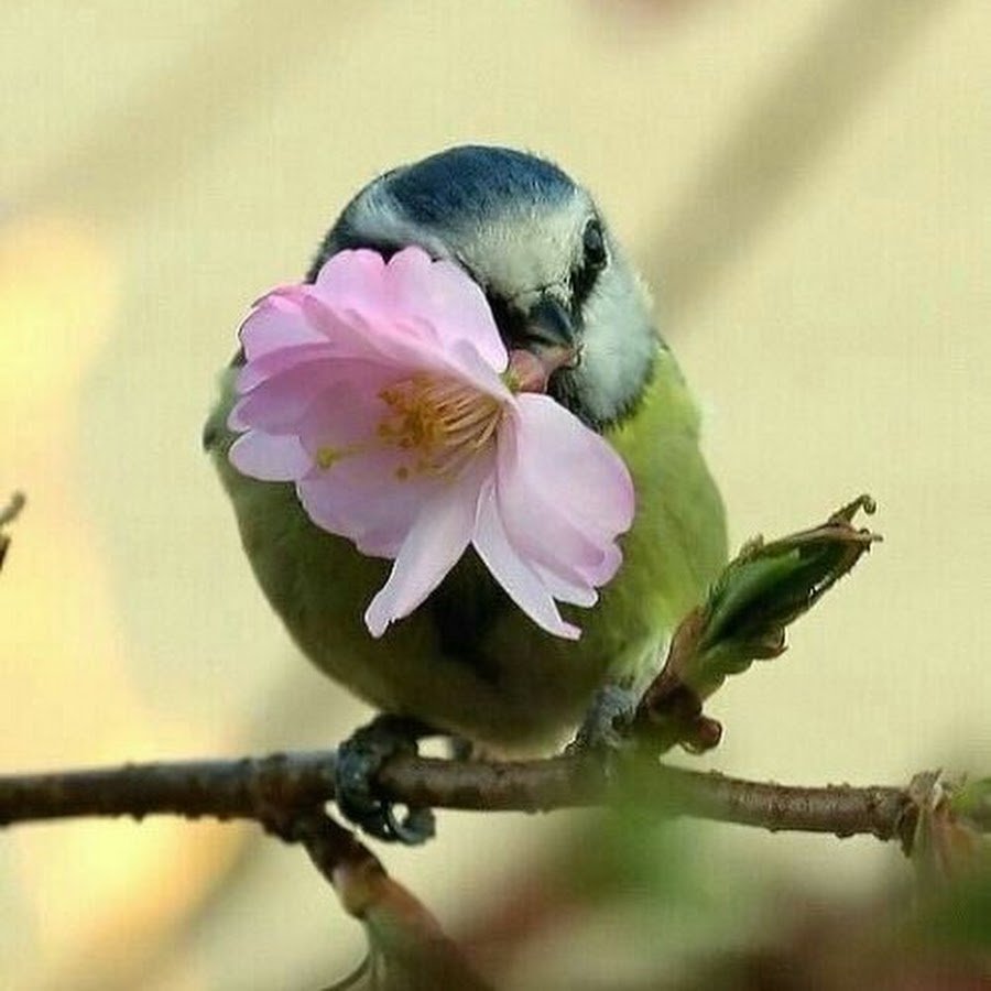 Доброе утро стильные