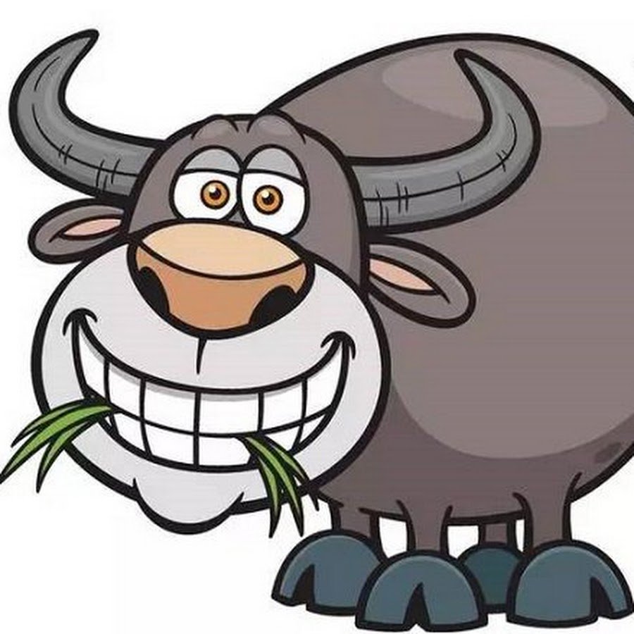 Буйвол кавказский