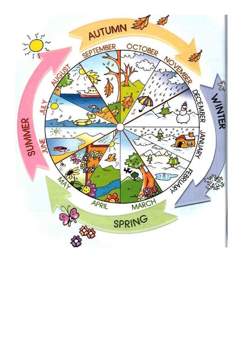 Времена года и месяца