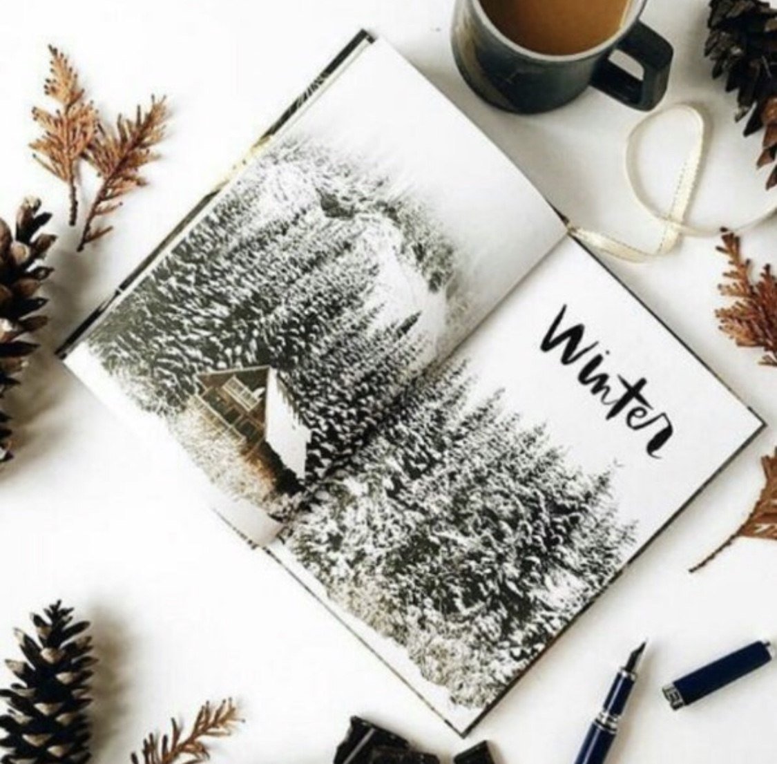 Зимняя книга