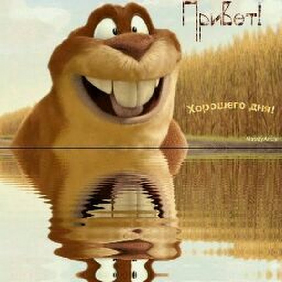 Хорошего дня прикольные