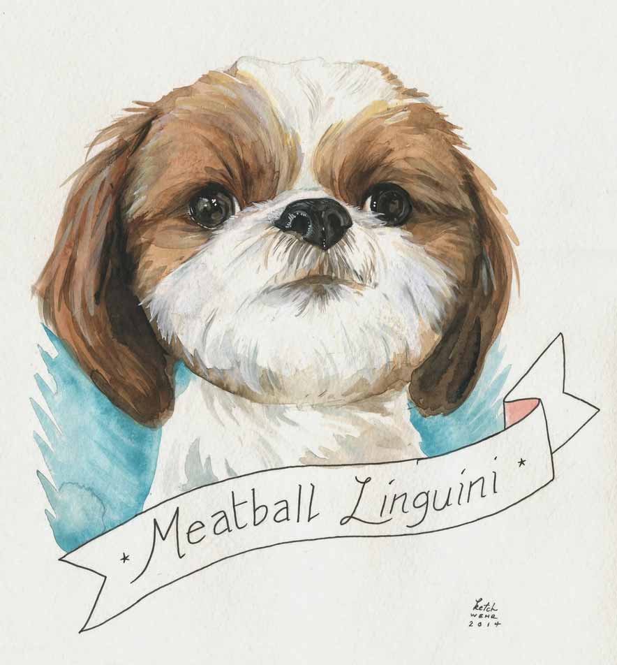 Ши тцу стрижки