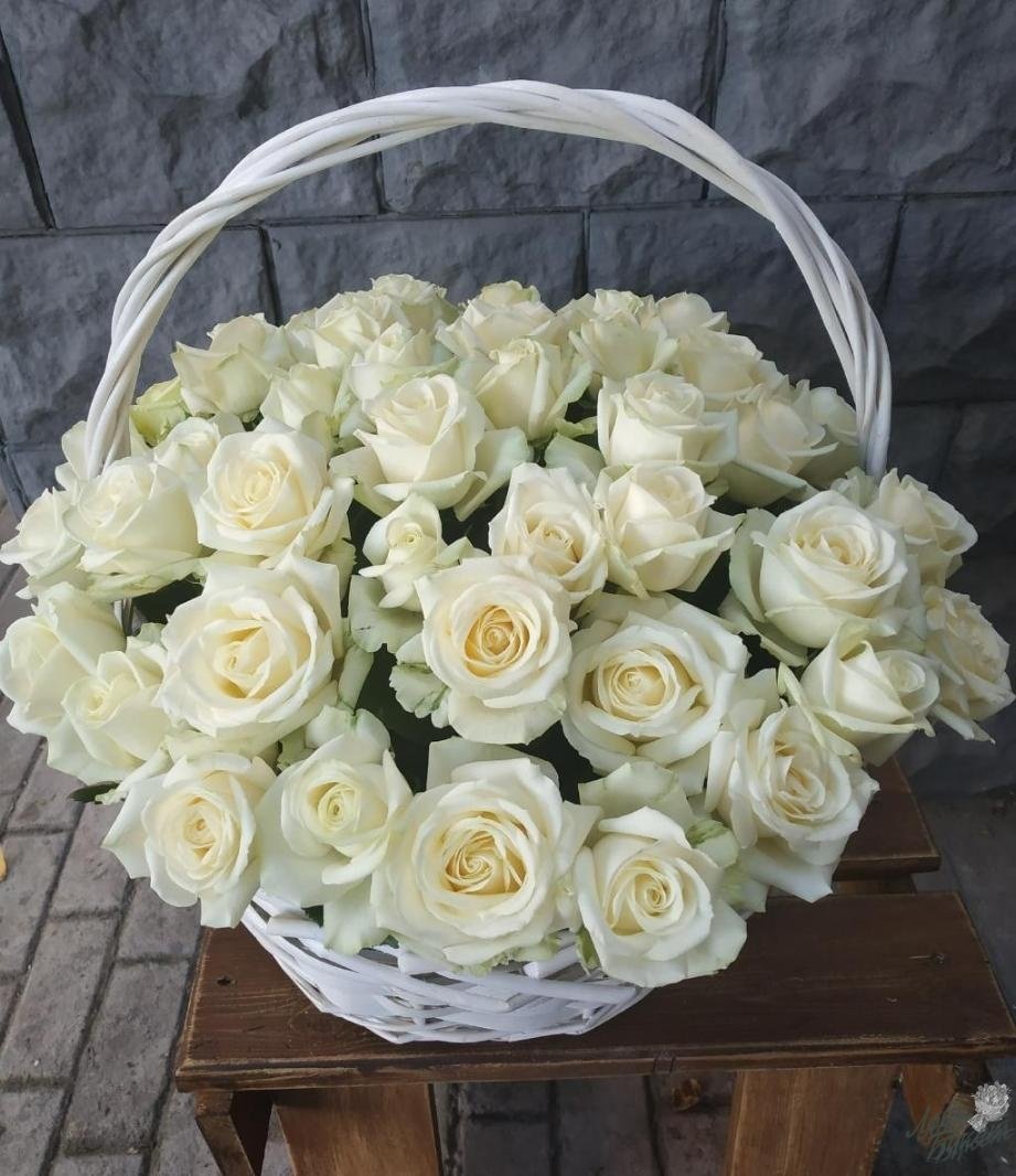 51 Белая роза "Аваланж"