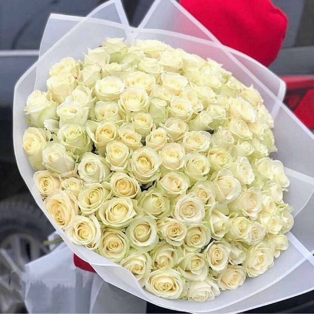 101 Белая роза "Аваланж"