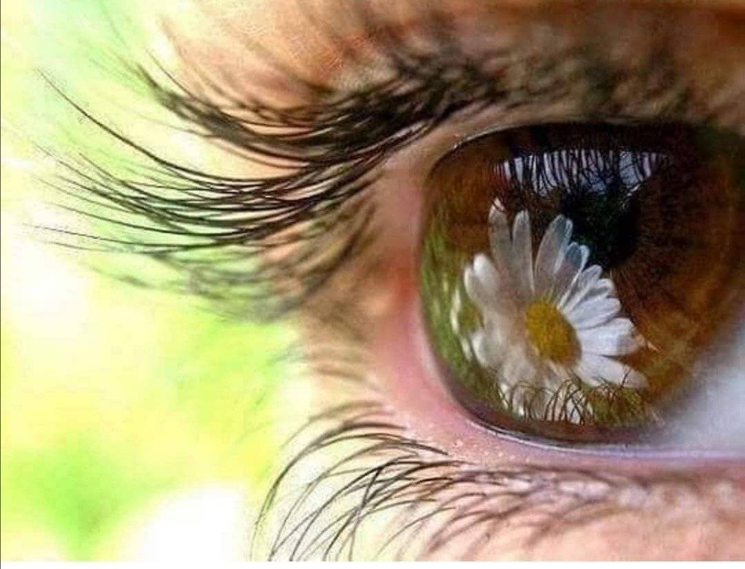 Красота в глазах